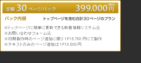 定額30Pパック399,000円（税込）トップページを含む合計30ページのプラン